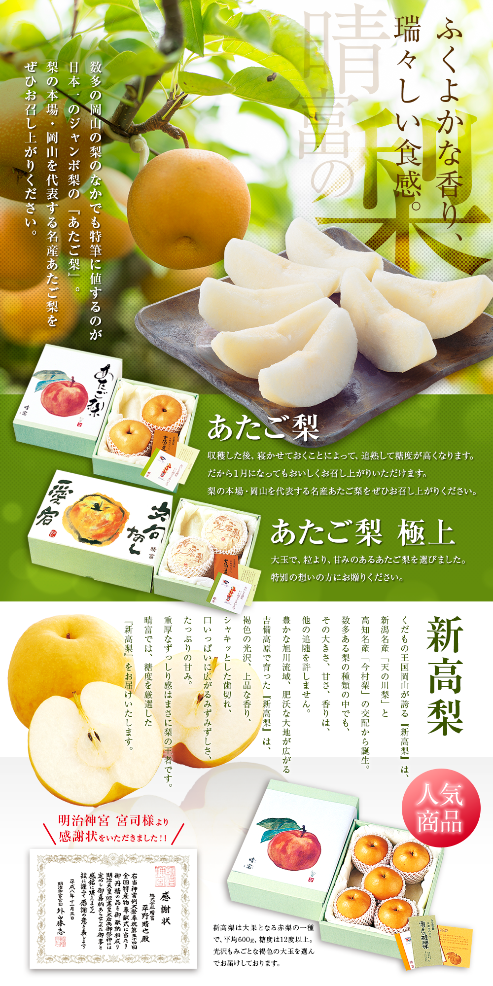 高級ギフトショップ「晴富」は岡山県産の清水白桃など旬の果物、海産物をお届けします。　あたご梨（3玉）　晴富オンラインストア
