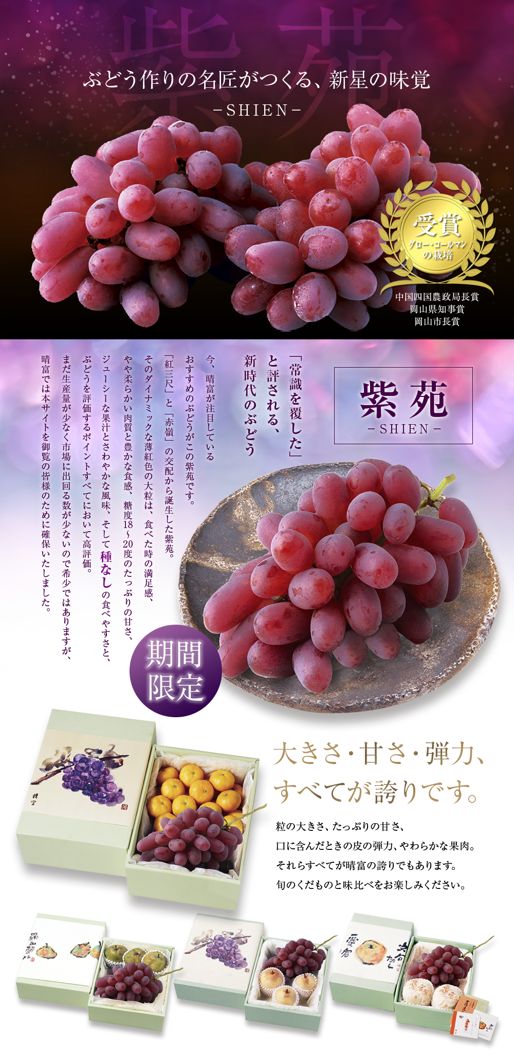 紫苑／ぶどう／葡萄